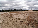 View of sandy soil in chernobyl zone