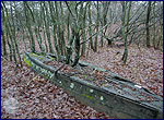 Natural views of exclution zone