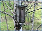 Nesting boxes for birds study in Red Forest