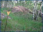 Partially destroy burial ground