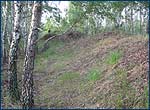 The Trench