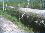 The pond on the Red Forest site