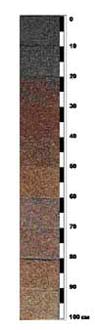 Character Soil Layer in Chernobyl area
