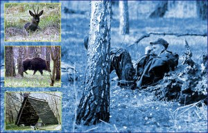 Экспедиция в Чернобыль 2002 год Экспедиция в Чернобыль 2002 год