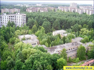 Припятские пейзажи Припятские пейзажи