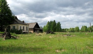 Шепеличи фото Шепеличи фото