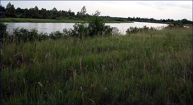 Фото - река Уж Фото - река Уж