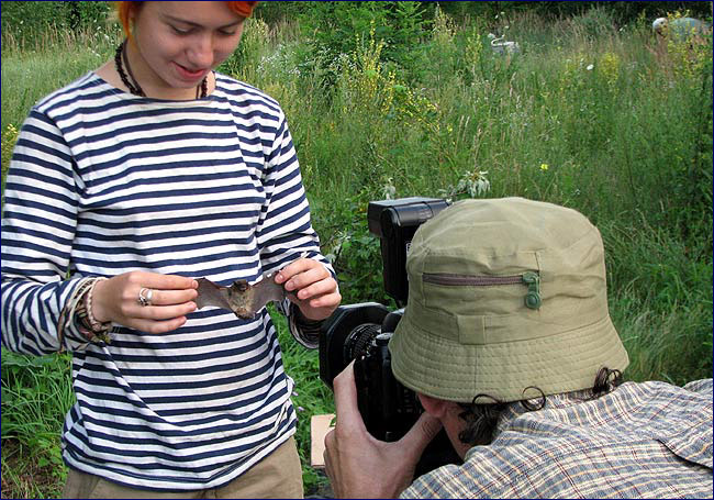 Фото Летучая мышь