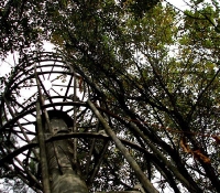 чернобыль-2: фото вибратор чернобыль-2: фото вибратор