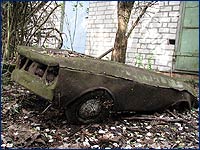 Вид села Старые Шепеличи Старые Шепеличи история брошенного села в Чернобыльской зоне отчуждения