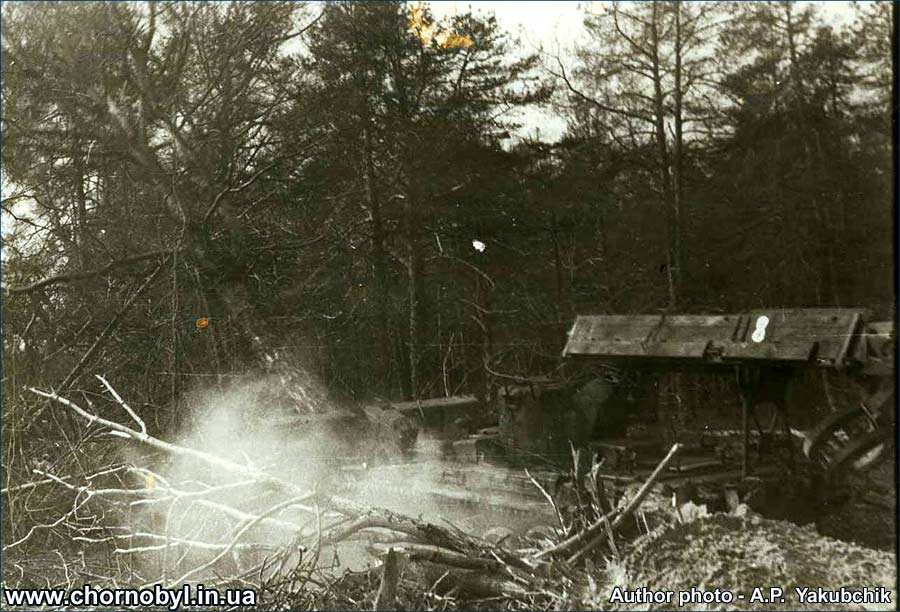 фото - участок Рыжий лес фото - участок Рыжий лес