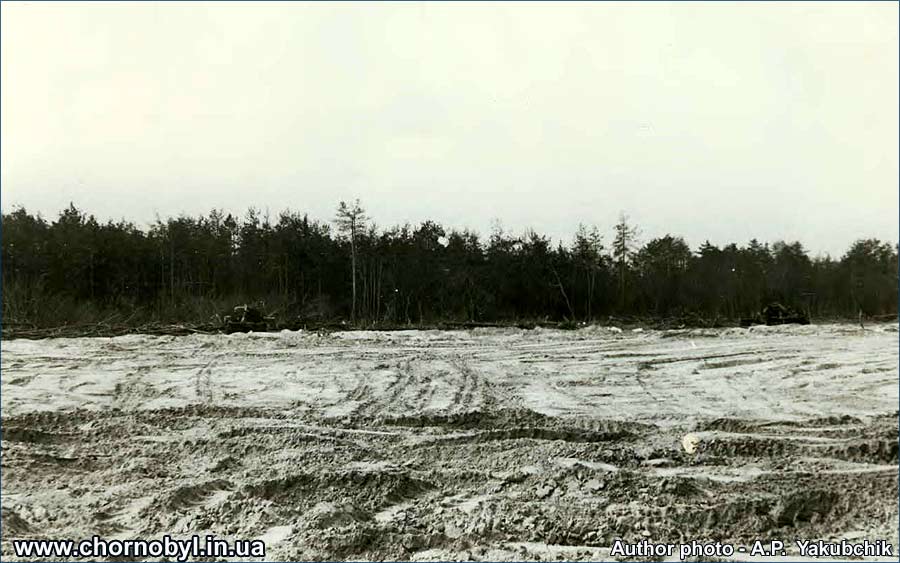 Рыжий лес: ликвидация Ликвидация и захоронения леса на участке Рыжий лес