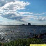 Ладшафт вокруг ЧАЭС Фото - Природа ЧАЭС