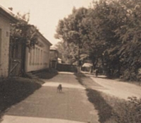 Чернобыль: улица Маркса Чернобыль: улица Маркса
