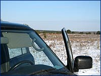 Nissan Patrol и Лошади Пржевальского Автомобиль и лошадь