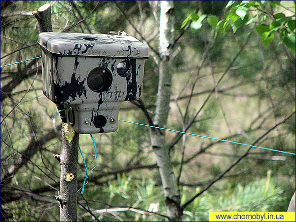 Фотокапкан Фотокапкан