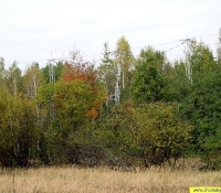 Чернобыль-2: фото Круга Чернобыль-2: фото Круга