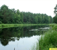 Река Уж Река Уж