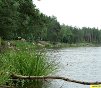 Река Уж Река Уж