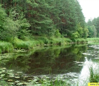 Река Уж Река Уж