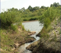 Река Уж Река Уж
