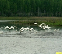 озеро Глубокое фото озеро Глубокое фото