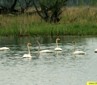 озеро Глубокое озеро Глубокое