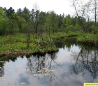 Река Илья - фото Река Илья - фото