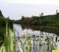 Илья - вид небольшой реки в зоне отчуждения Илья - вид небольшой реки в зоне отчуждения