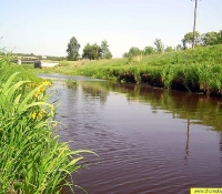 Илля возле села Рудня-Ильинецкая Илля возле села Рудня-Ильинецкая