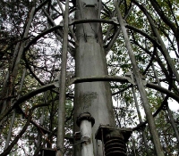 чернобыль-2: фото вибратор чернобыль-2: фото вибратор