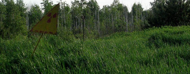 Рудий ліс: науковий звіт про стан лісу біля ЧАЕС в 1987 році.